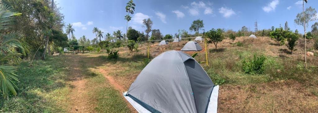 Wilderness Jungle Camp Hotel Malavalli Kültér fotó