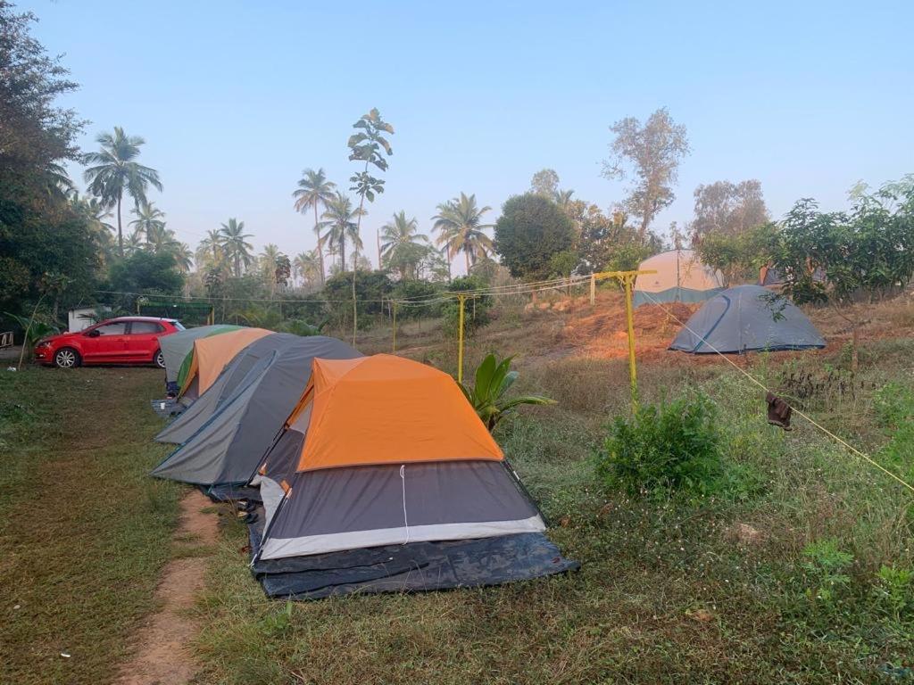 Wilderness Jungle Camp Hotel Malavalli Kültér fotó