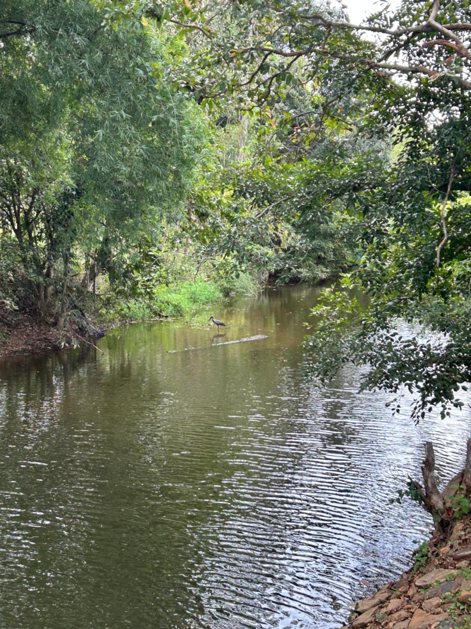 Wilderness Jungle Camp Hotel Malavalli Kültér fotó