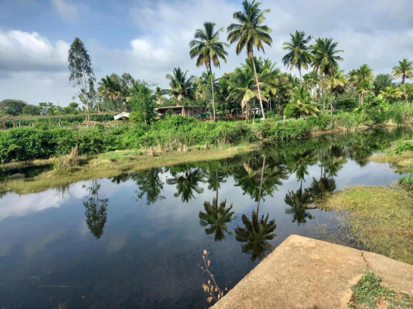 Wilderness Jungle Camp Hotel Malavalli Kültér fotó