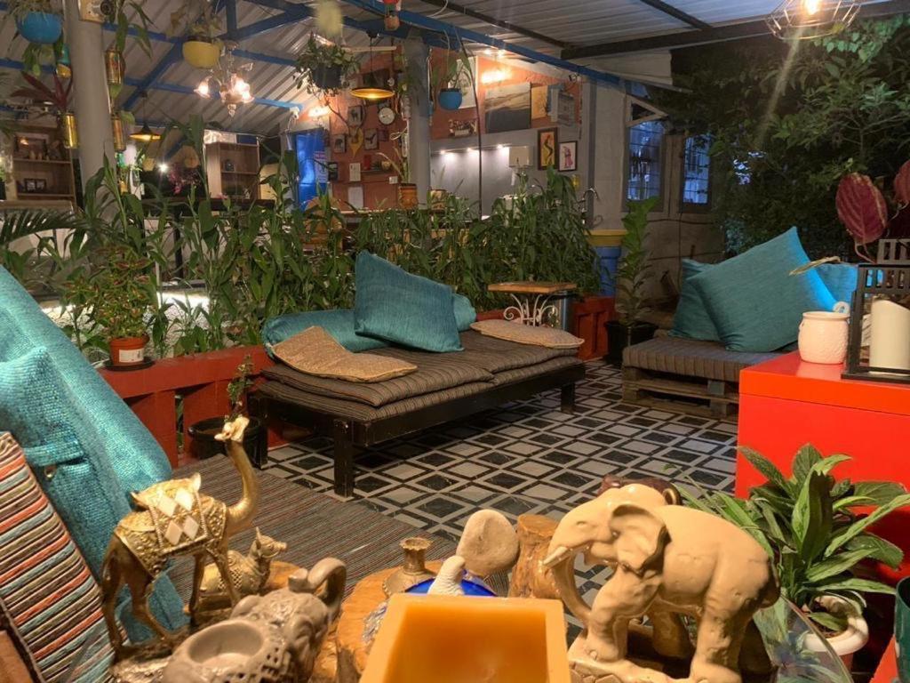 Wilderness Jungle Camp Hotel Malavalli Kültér fotó